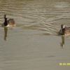 Hardwick Park