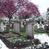 Alperton Cemetery