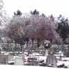 Alperton Cemetery