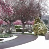 Alperton Cemetery