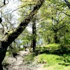 Ullswater west shore.