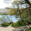Ullswater West shore.