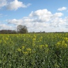 Barton le clay, Bedfordshire