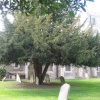 St Nicholas' churchyard, Barton le Clay