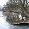 February on Ullswater.