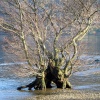 February on Ullswater.