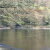 February on Ullswater.