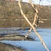 February on Ullswater.