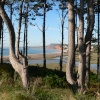 Budleigh Salterton