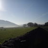 Morning at Torver, Coniston