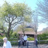 Highdown Gardens entrance