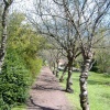 Highdown Gardens pathways