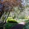 Follow the sun, Highdown Gardens