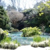 Highdown Gardens ponds