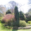 Highdown Gardens, Hangleton