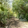 Endless footpaths within Highdown Gardens