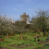 Levens Hall Gardens