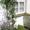 Cottage in Dent