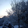Saltwells in the April snow