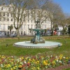 Spring, Torquay, Devon