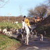 Berkeley hounds at 'Windy Corner'