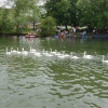 River Ouse Bedford