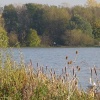Priory Marina, Bedford