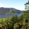 Bassenthwaite Lake from Dodd Woods
