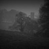 Distant ruins