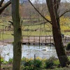  Washington Wetlands Centre, Tyne & Wear.