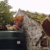 Country Bumpkin!!