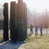 Hamsterley Forest