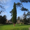 Wallingford Castle Gardens