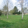 Wallingford Castle Gardens