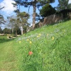 Wallingford Castle Gardens