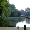 Walkington pond
