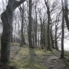 Sharpenhoe Clappers in April