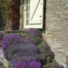 Steps