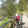 Lyme Gardens 2008