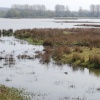 Rutland Water