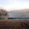 Shillingstone in Dorset