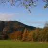Scenery beside Bassenthwaite Lake