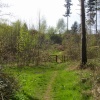 Maulden Woods
