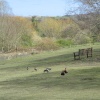 Washington Wetlands Centre.
