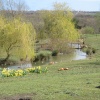 Washington Wetlands Centre.