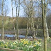 Washington Wetlands Centre.