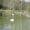 Washington Wetlands Centre.