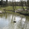 Washington Wetlands Centre.