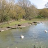 Washington Wetlands Centre.
