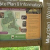 Maulden Woods
